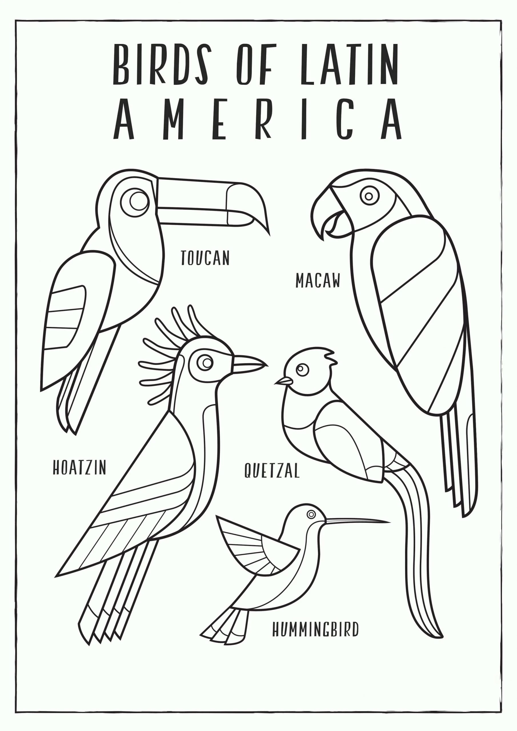 Amerikan boyama sayfası – eğitici aktivite, yaratıcılık