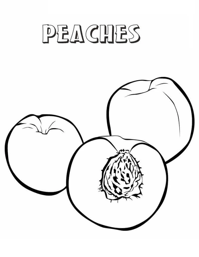 Şeftali boyama sayfası – basit çizim, kolay boyama