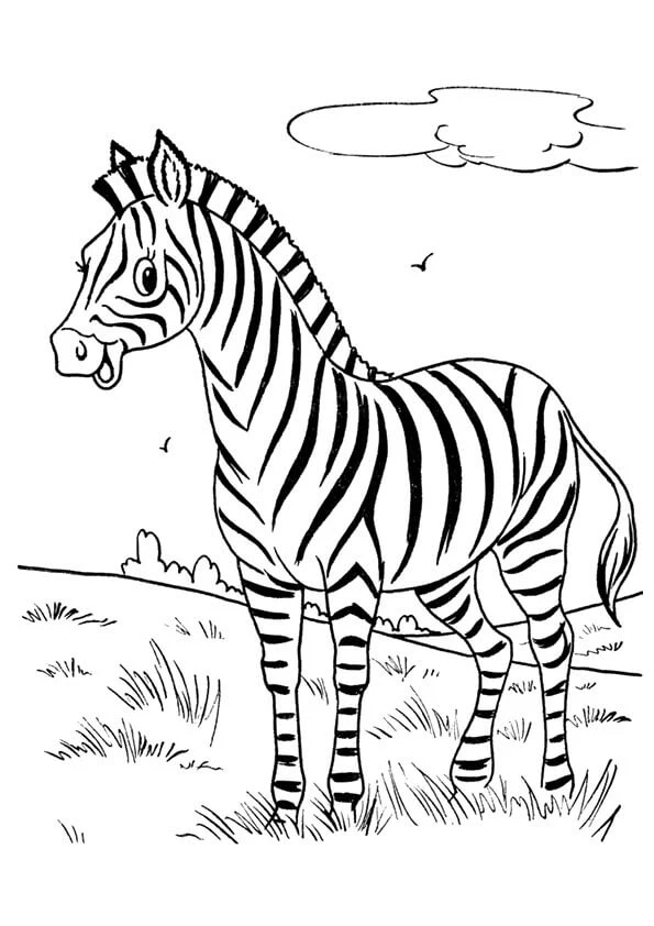 Zebra boyama sayfası – ücretsiz yazdır, boyama etkinliği