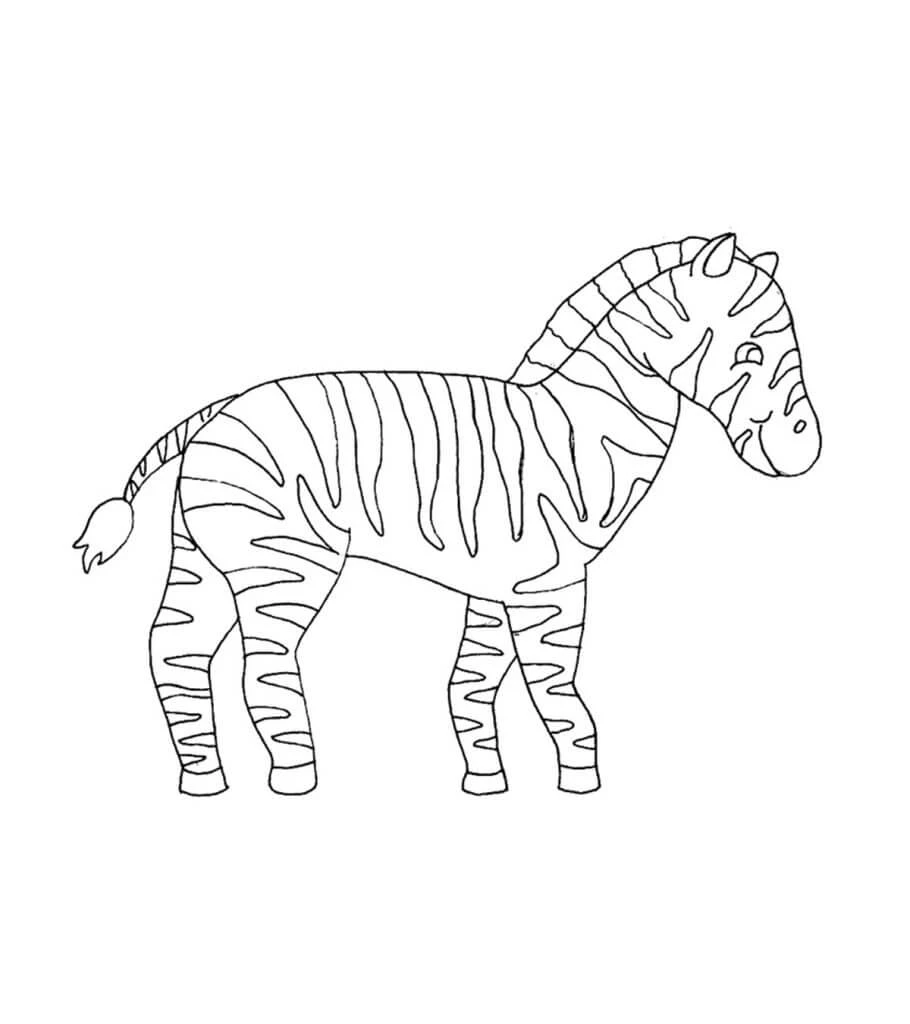 Zebra boyama sayfası – okul öncesi, evde etkinlik