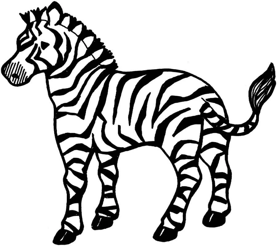 Zebra boyama sayfası – keyifli zaman, renkli çizimler