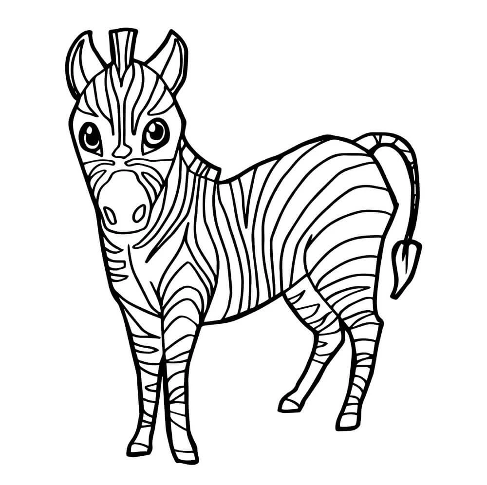 Zebra boyama sayfası – evde etkinlik, ücretsiz yazdır