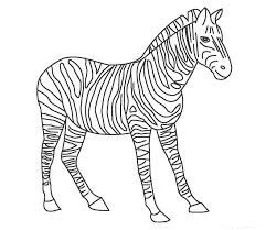 Zebra boyama sayfası – renkli çizimler, okul öncesi