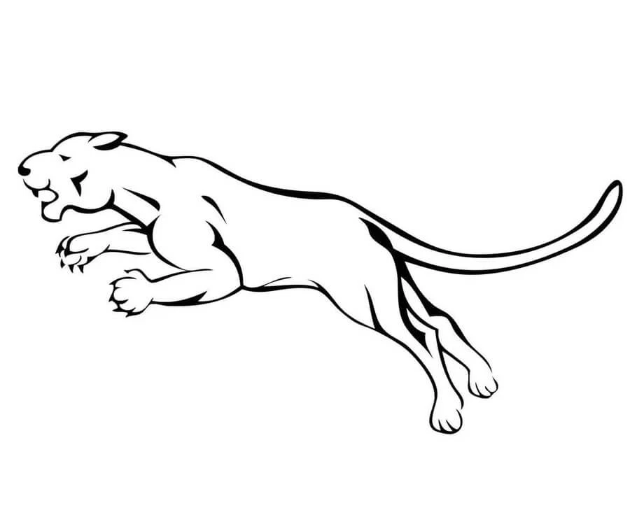 Puma boyama sayfası – evde etkinlik, ücretsiz yazdır