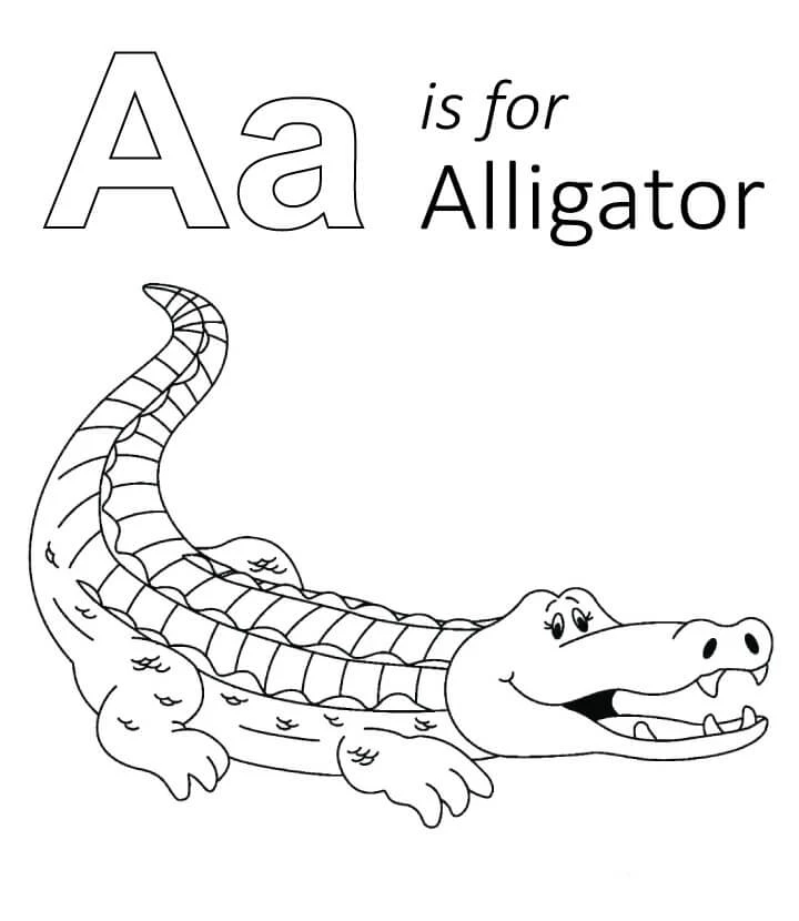 Alligator boyama sayfası – sanatsal çalışma, çocuklar için