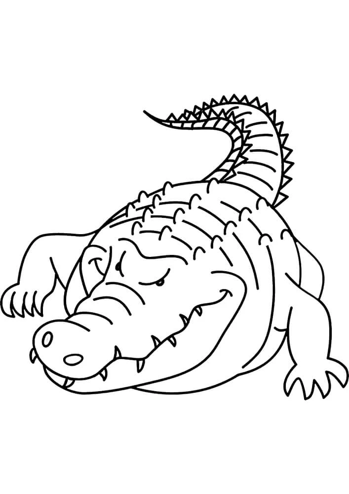 Alligator boyama sayfası – renkli çizimler, okul öncesi