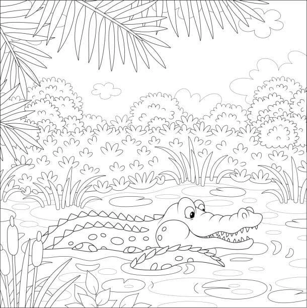Alligator boyama sayfası – çocuklar için, çizgi film temalı