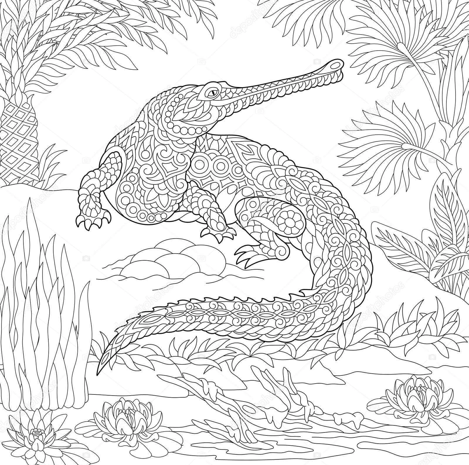 Alligator boyama sayfası – yaratıcılığı geliştirir, keyifli zaman