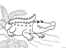 Alligator boyama sayfası – el becerilerini geliştirir, boyama çalışması