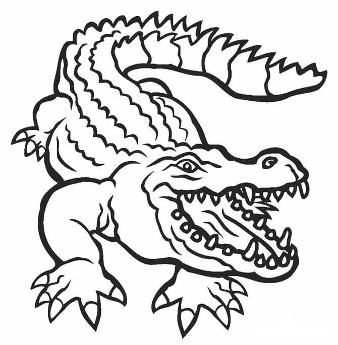 Alligator boyama sayfası – basit çizim, kolay boyama