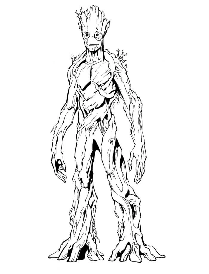 Groot Boyama