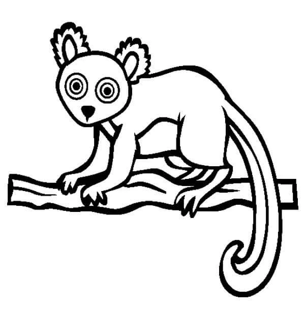 Lemur boyama sayfası – el becerilerini geliştirir, boyama çalışması
