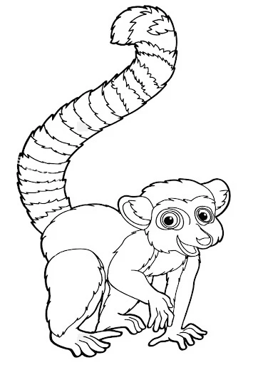 Lemur boyama sayfası – yaratıcılık, eğlenceli etkinlik