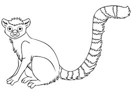 Lemur boyama sayfası – ücretsiz yazdır, boyama etkinliği