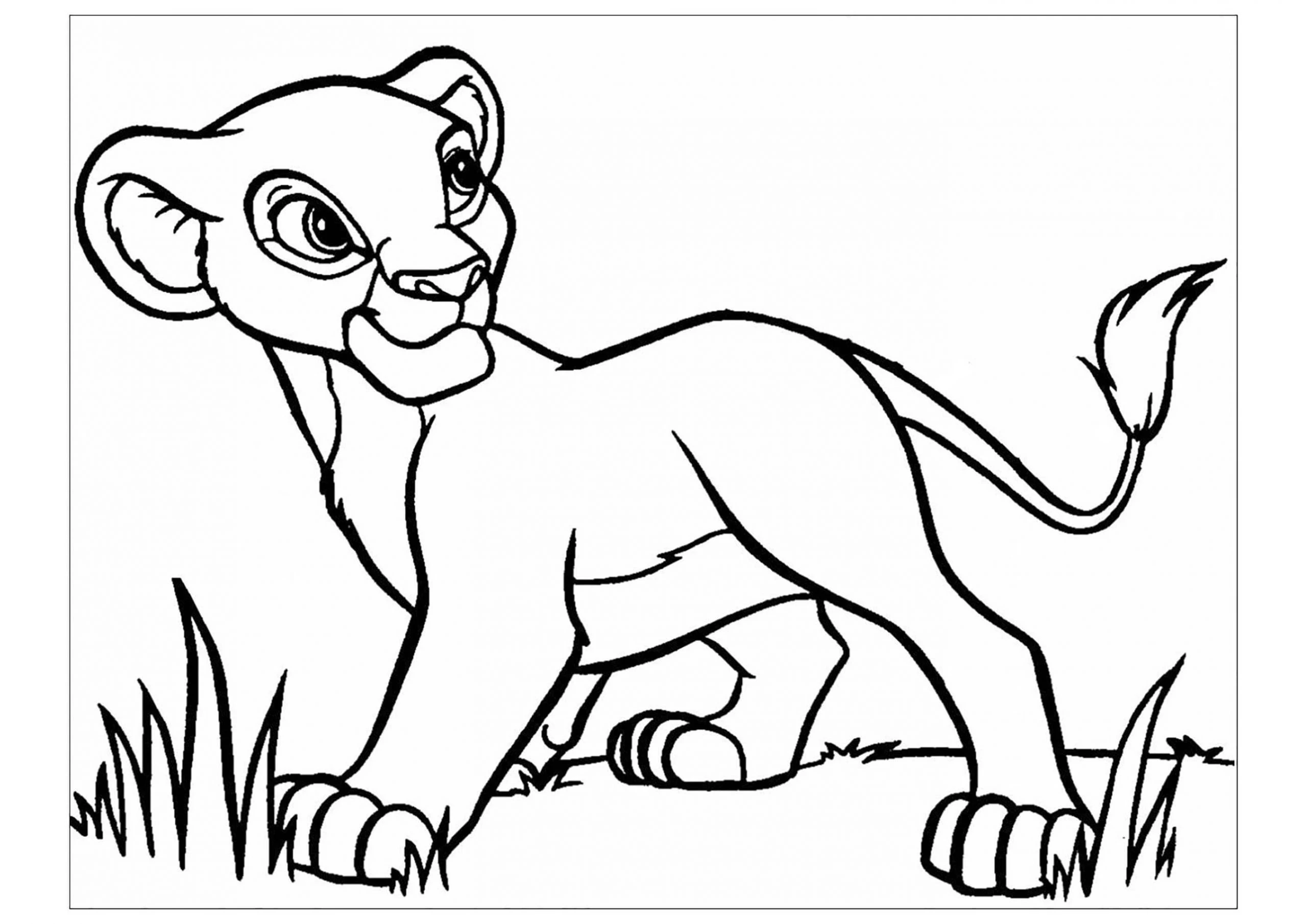 Simba boyama sayfası – sanatsal çalışma, çocuklar için