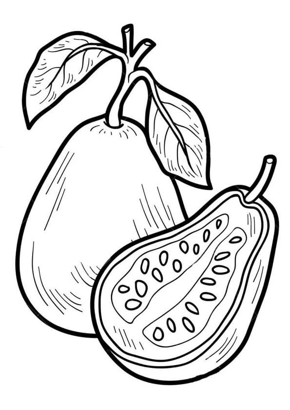 Guava Boyama