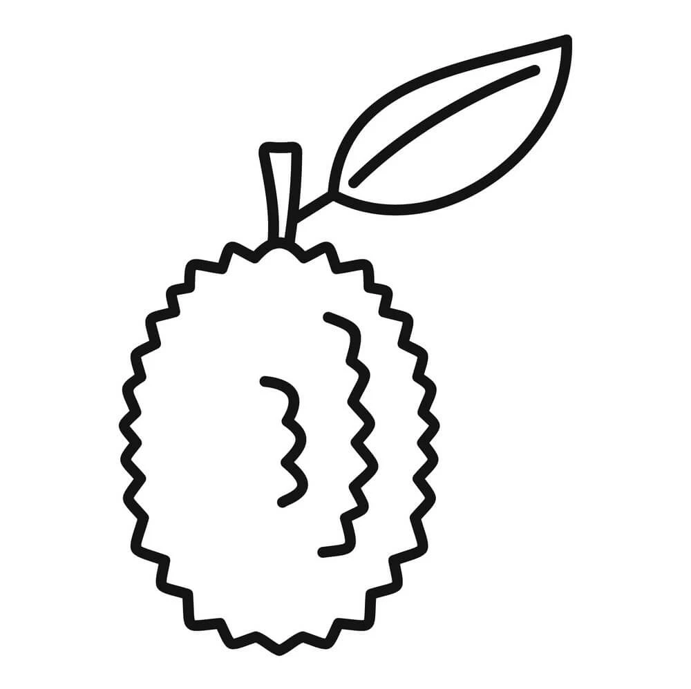 Durian boyama sayfası – basit çizim, kolay boyama
