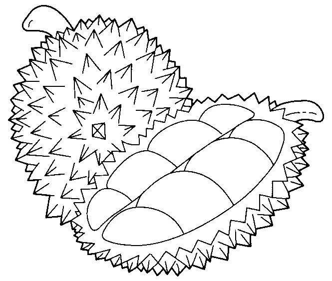 Durian boyama sayfası – okul öncesi, evde etkinlik