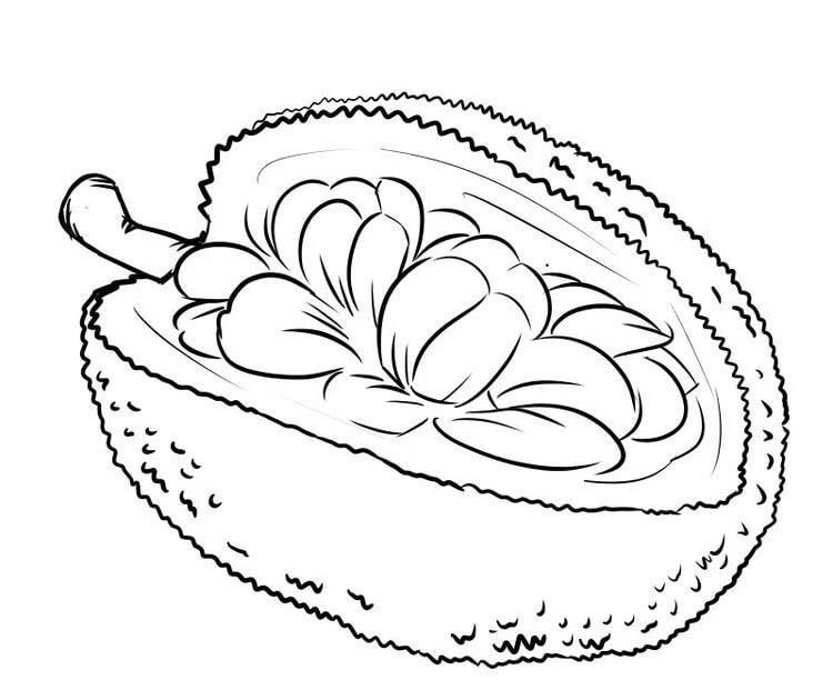 Durian boyama sayfası – sevimli karakter, sanatsal çalışma