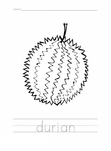 Durian boyama sayfası – eğitici aktivite, yaratıcılık