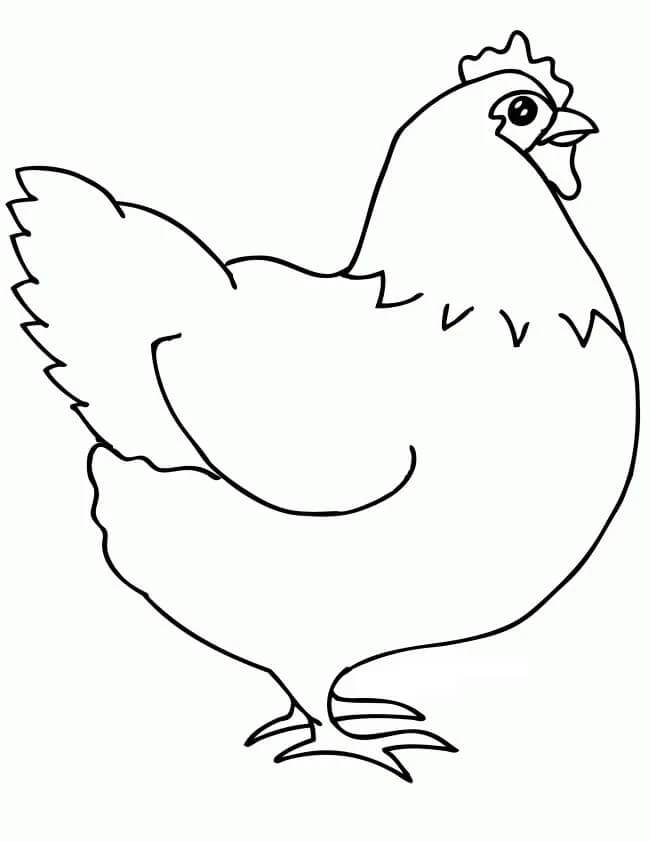 Hen Boyama