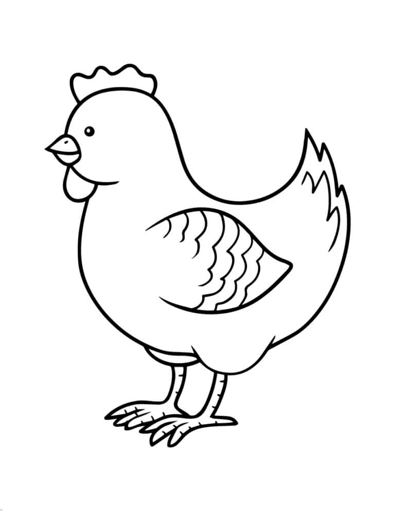 Hen boyama sayfası – boyama çalışması, yaratıcılığı geliştirir