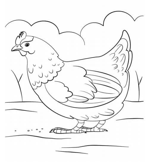 Hen boyama sayfası – evde etkinlik, ücretsiz yazdır
