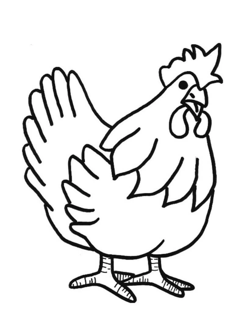 Hen boyama sayfası – basit çizim, kolay boyama
