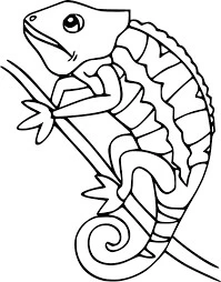 Bukalemunlar boyama sayfası – yaratıcılığı geliştirir, keyifli zaman