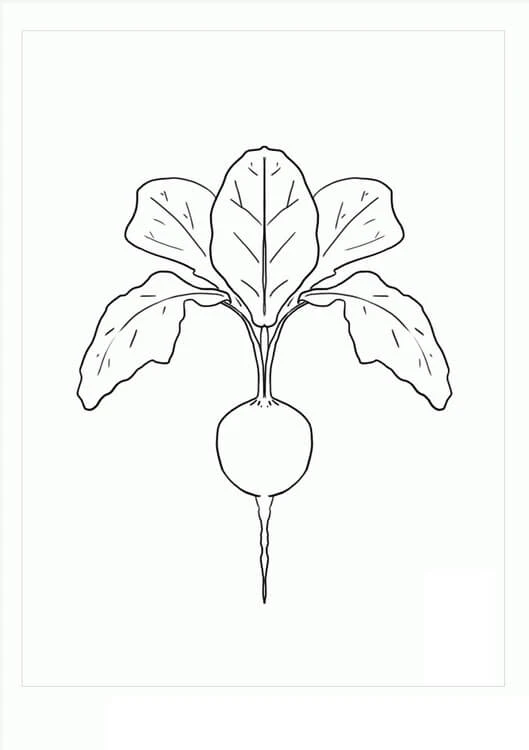 Turp boyama sayfası – PDF indir, sevimli karakter