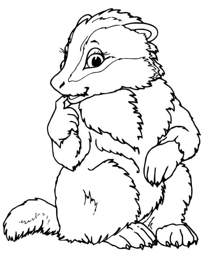 Badger boyama sayfası – çocuk aktivitesi, PDF indir