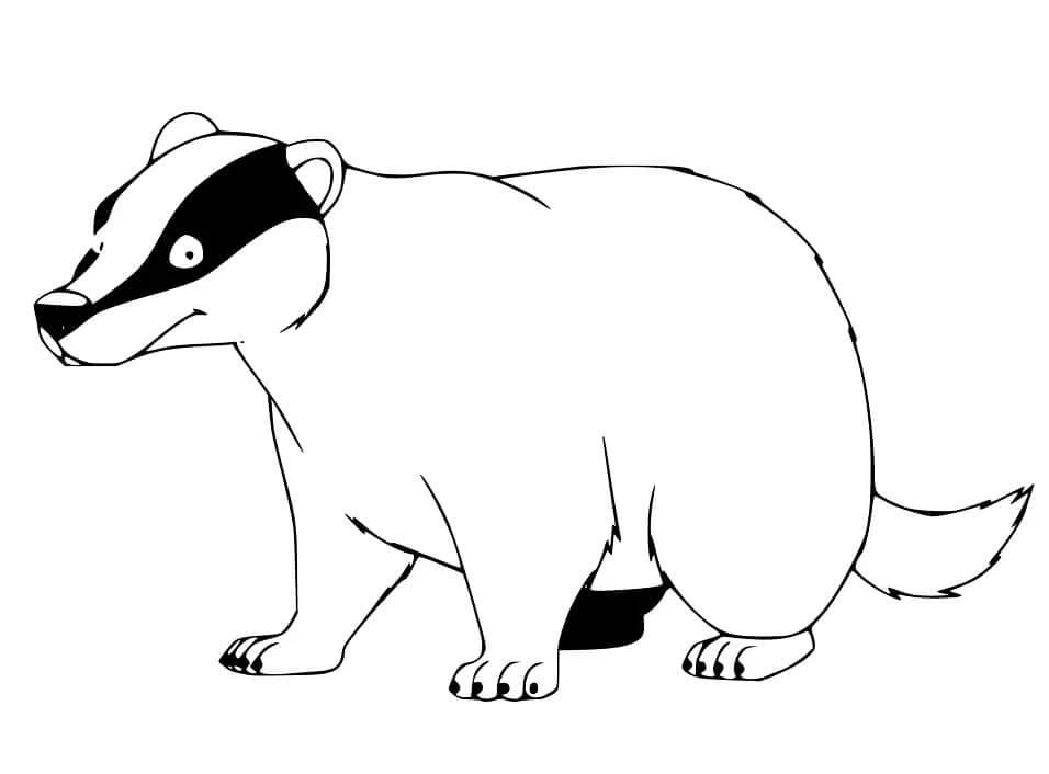 Badger boyama sayfası – basit çizim, kolay boyama