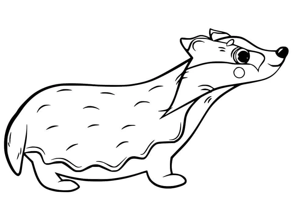 Badger boyama sayfası – boyama çalışması, yaratıcılığı geliştirir