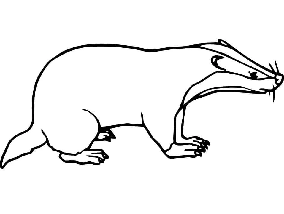 Badger boyama sayfası – eğitici aktivite, yaratıcılık