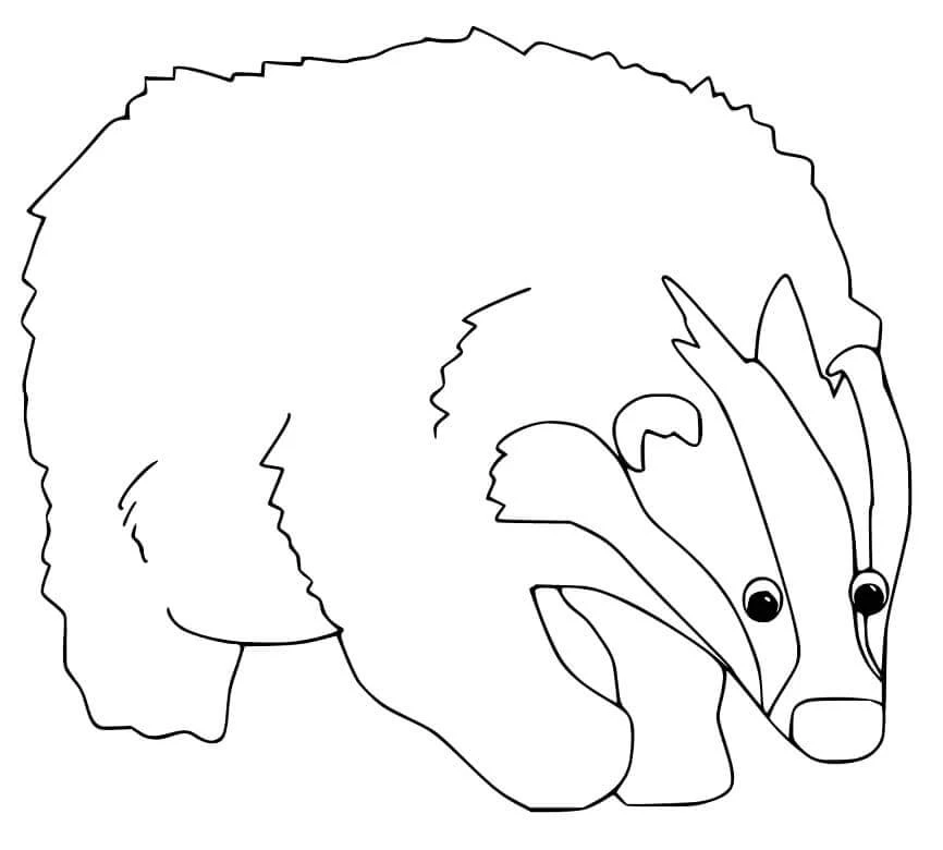 Badger boyama sayfası – evde etkinlik, ücretsiz yazdır