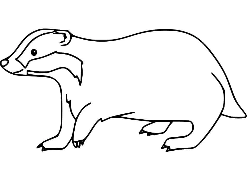 Badger boyama sayfası – PDF indir, sevimli karakter