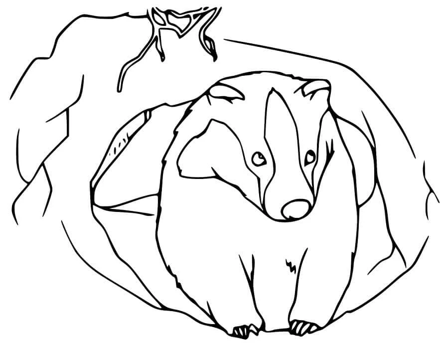 Badger boyama sayfası – eğlenceli etkinlik, el becerilerini geliştirir