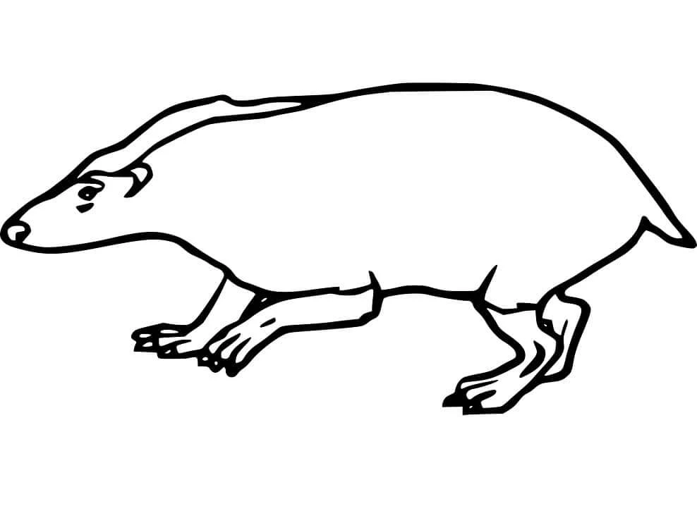 Badger boyama sayfası – sevimli karakter, sanatsal çalışma