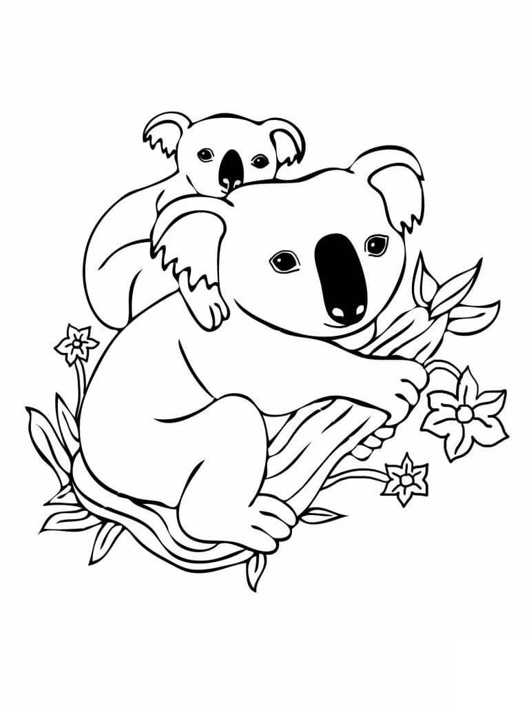 Koala boyama sayfası – keyifli zaman, renkli çizimler