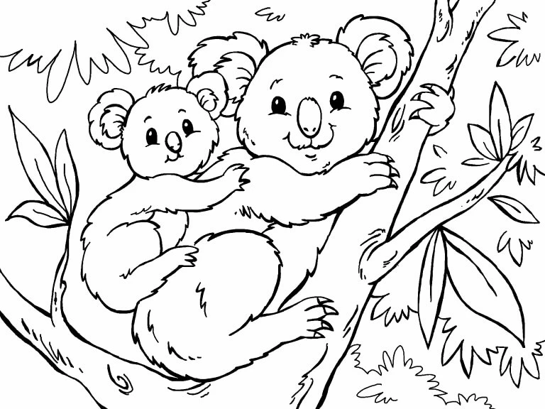 Koala boyama sayfası – renkli çizimler, okul öncesi