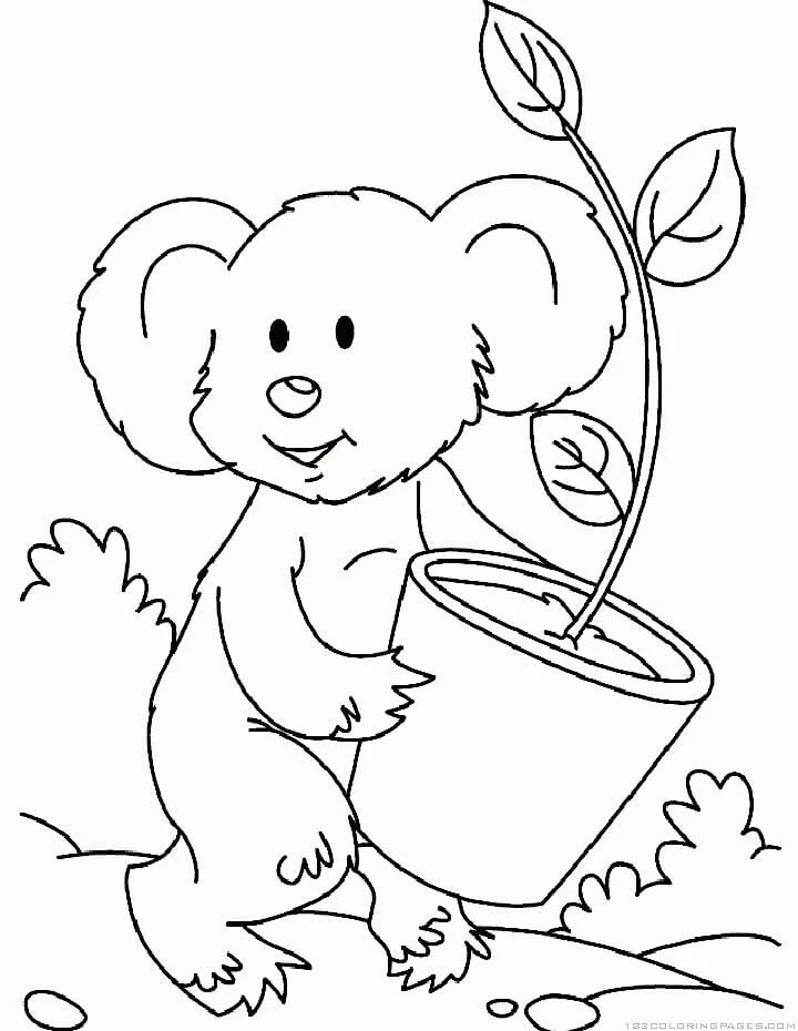 Koala boyama sayfası – çocuklar için, çizgi film temalı