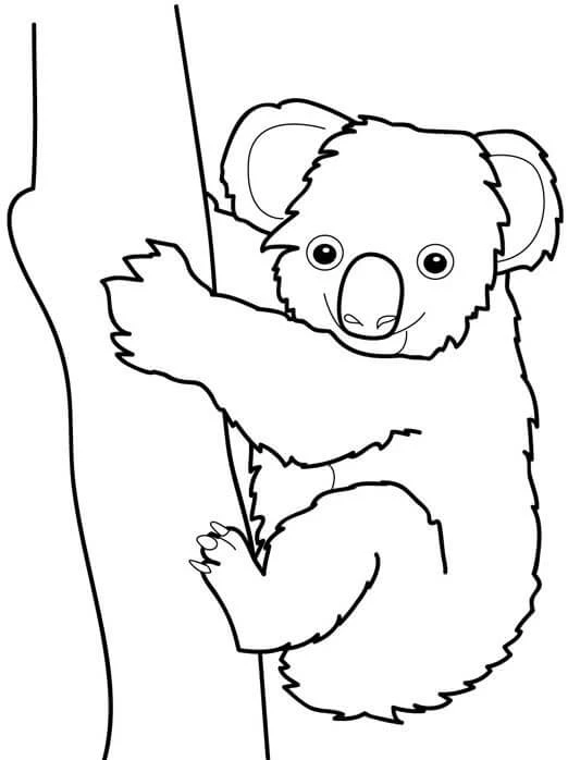 Koala boyama sayfası – kolay boyama, eğitici aktivite