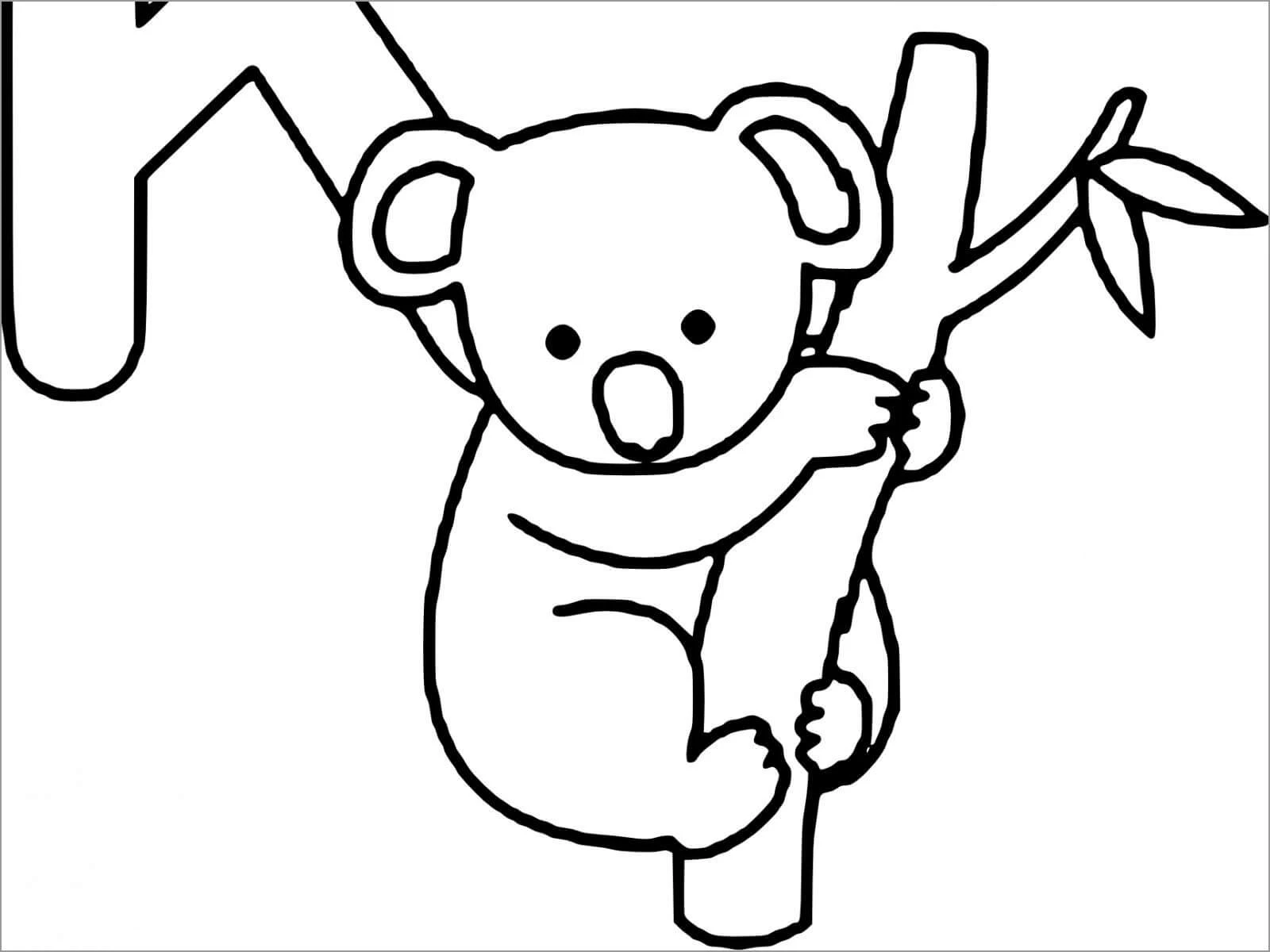 Koala boyama sayfası – eğlenceli etkinlik, el becerilerini geliştirir