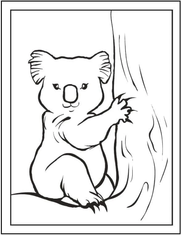 Koala boyama sayfası – çizgi film temalı, basit çizim