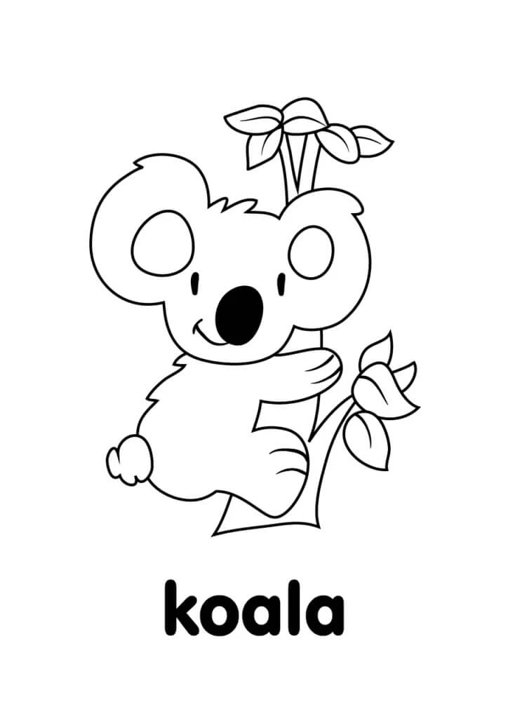 Koala boyama sayfası – çocuk aktivitesi, PDF indir