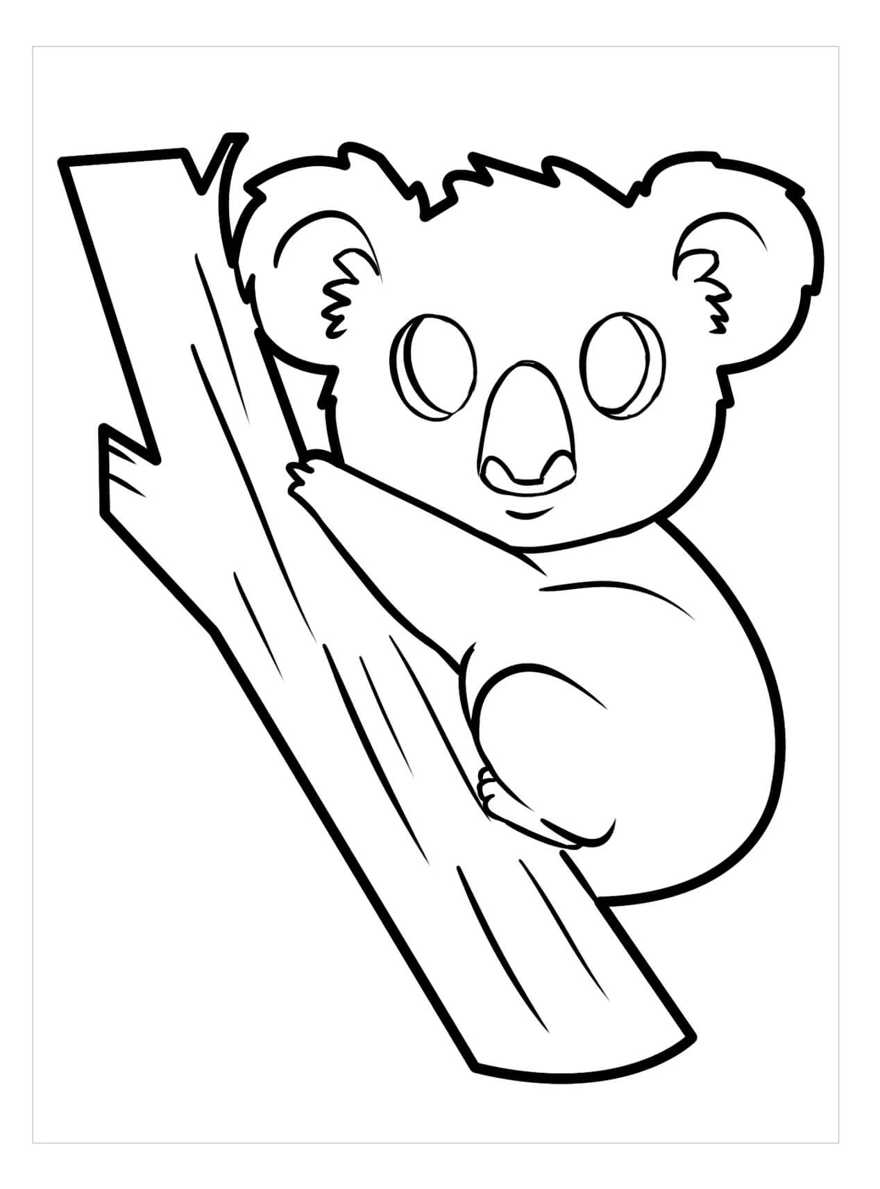 Koala boyama sayfası – sanatsal çalışma, çocuklar için