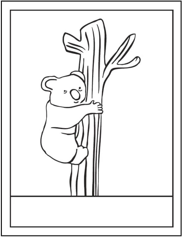 Koala boyama sayfası – renkli çizimler, okul öncesi