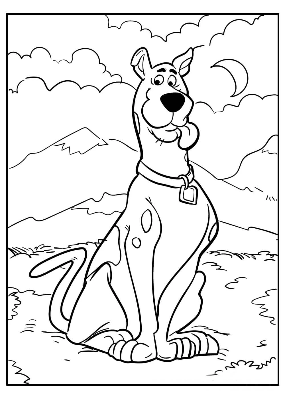 Scooby Doo boyama sayfası – okul öncesi, evde etkinlik
