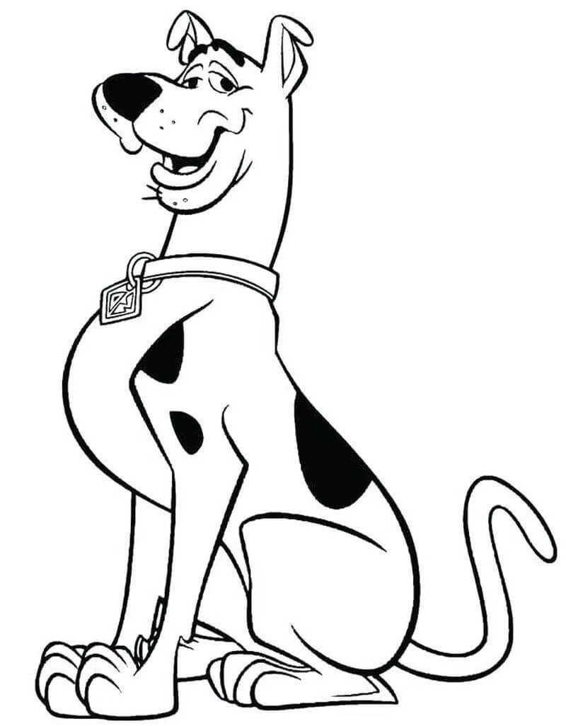 Scooby Doo boyama sayfası – el becerilerini geliştirir, boyama çalışması