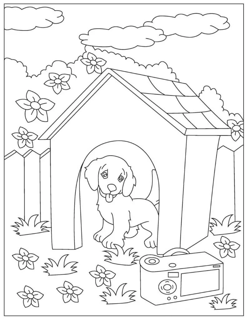 Köpek Yavrusu boyama sayfası #20 – yaz tatili etkinliği, sabır ve özgüven kazandırır